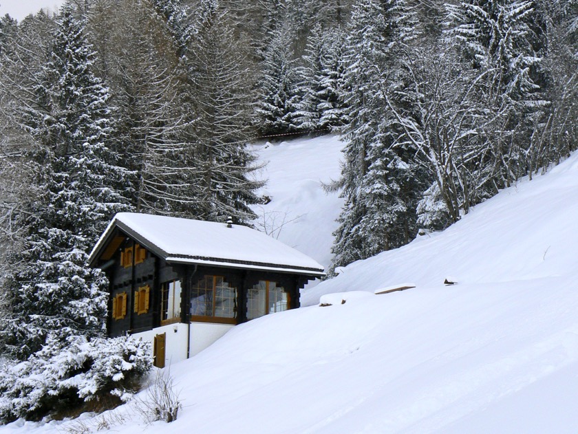 Accès direct à la piste de ski