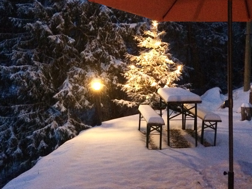 Sapin de Noël dans la cour avant