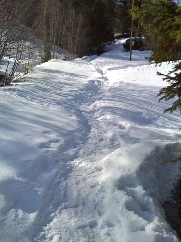 Sentier pédestre jusqu'au chalet