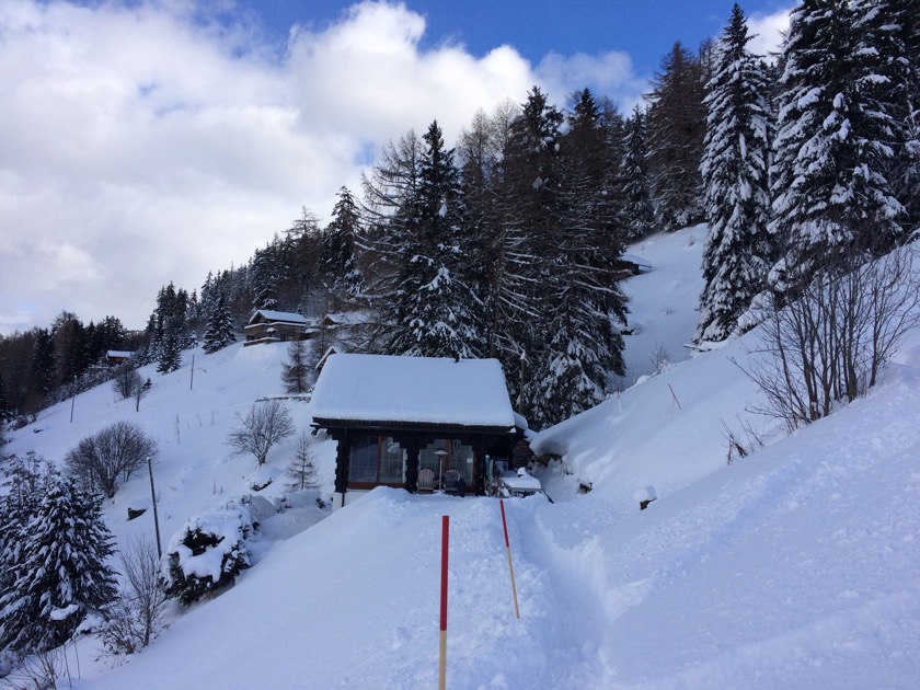 Sentier pédestre vers la piste