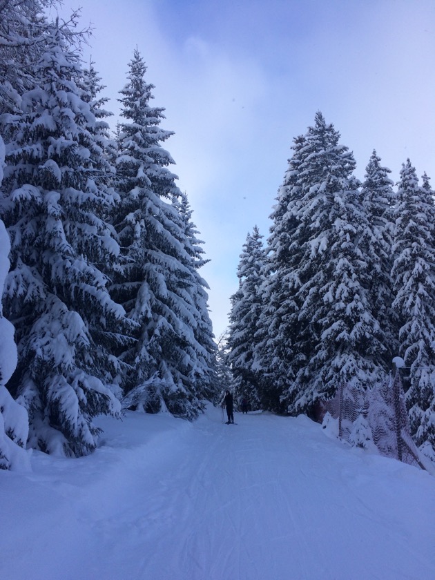 4 Vallées ski area